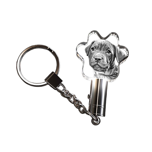 3D Crystal Keychain - Paw - Image 2