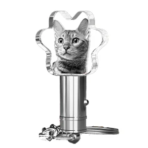 3D Crystal Keychain - Paw