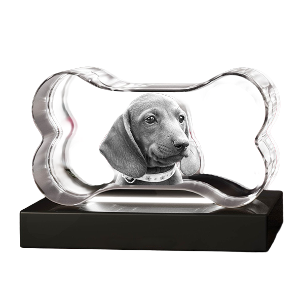 3D Crystal - Bone - Image 3