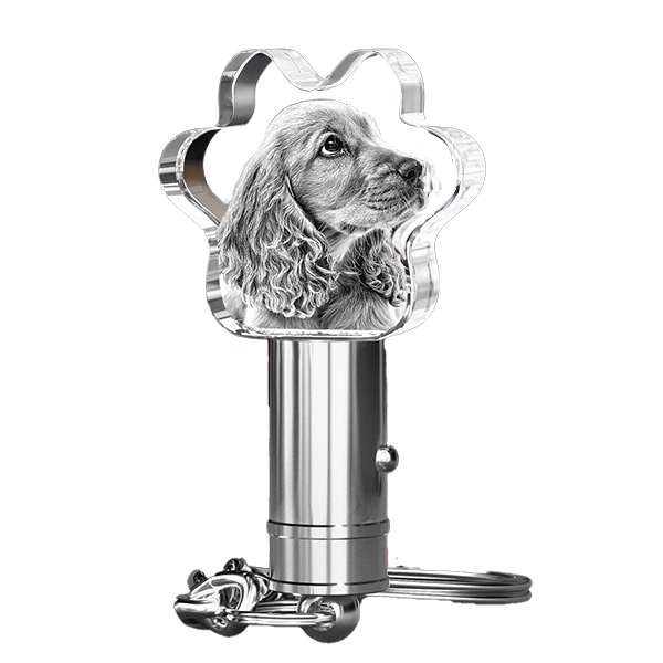 3D Crystal Keychain - Paw - Image 3