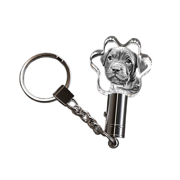 3D Crystal Keychain - Paw - Image 4